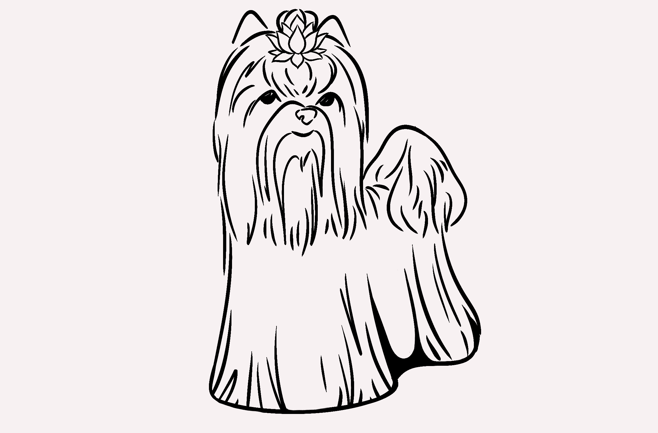 A drawing of a dog with long hair.