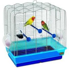 A bird cage with two birds inside of it.