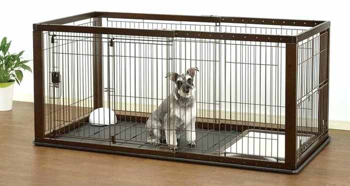 A dog sitting in its cage looking at the camera.