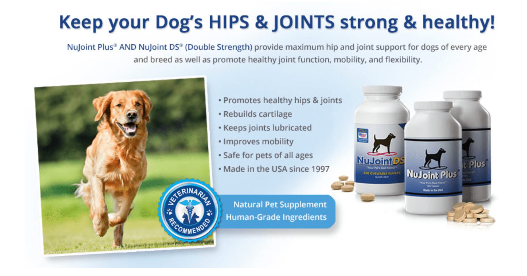 A picture of the advertisement for nuguard dog supplement.