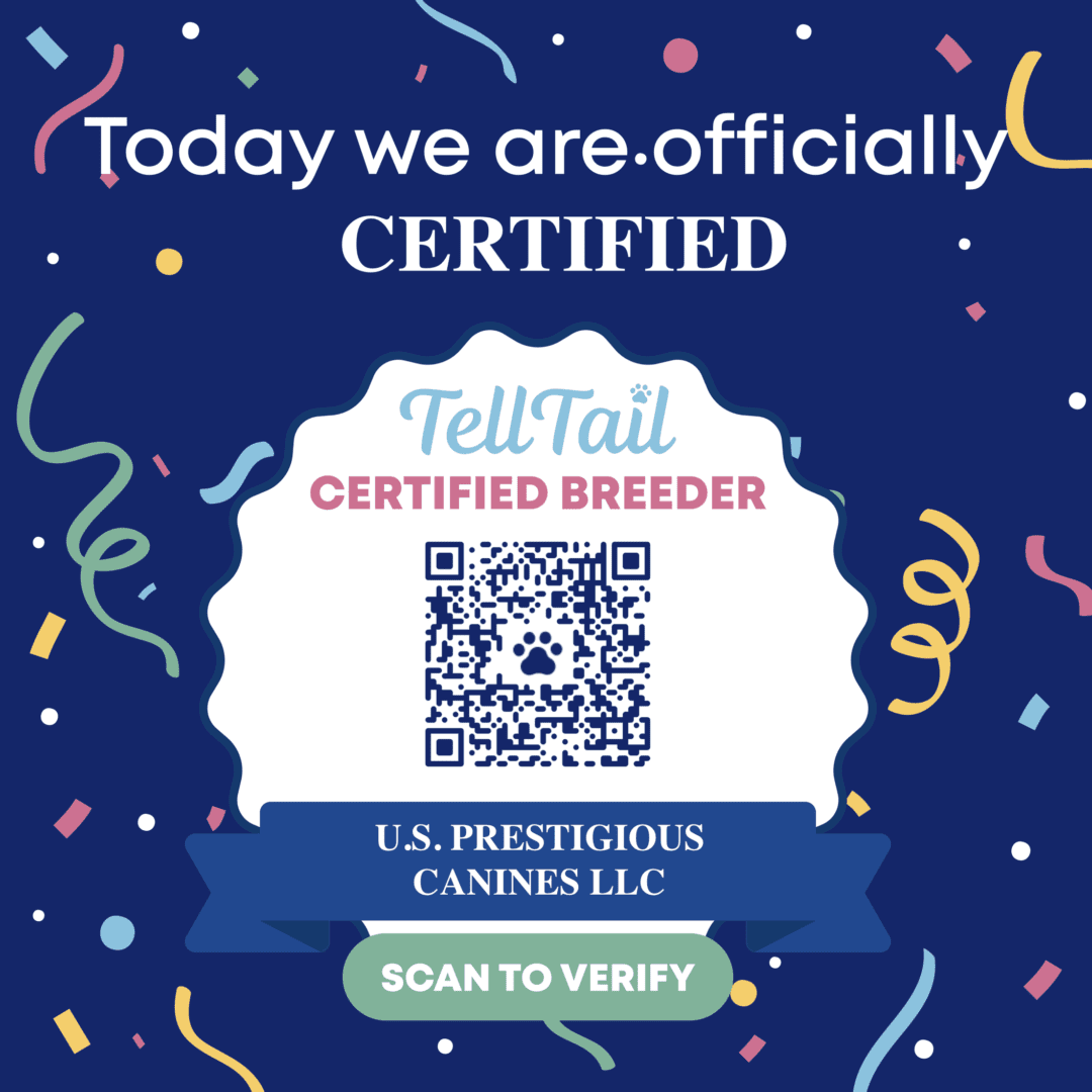 A picture of the tell tail certified breeder seal.