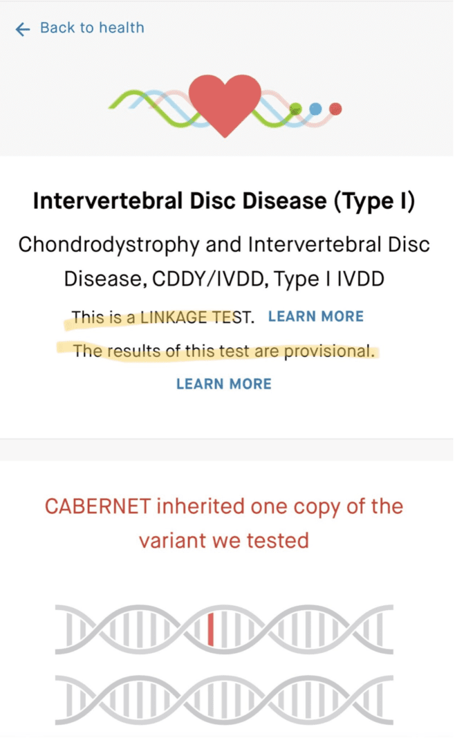 A text box with the words " intervertebral disc disease ( type i ) chondrodystrophy and intervertebral disk disease, c